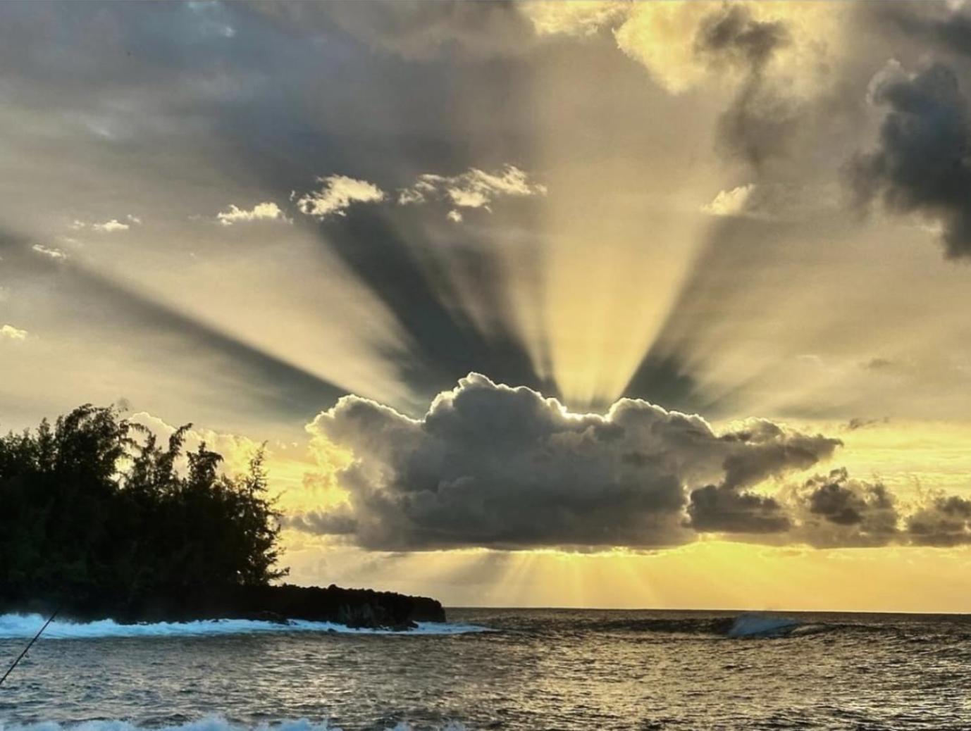 Tropical Zen Bungalow Pahoa المظهر الخارجي الصورة
